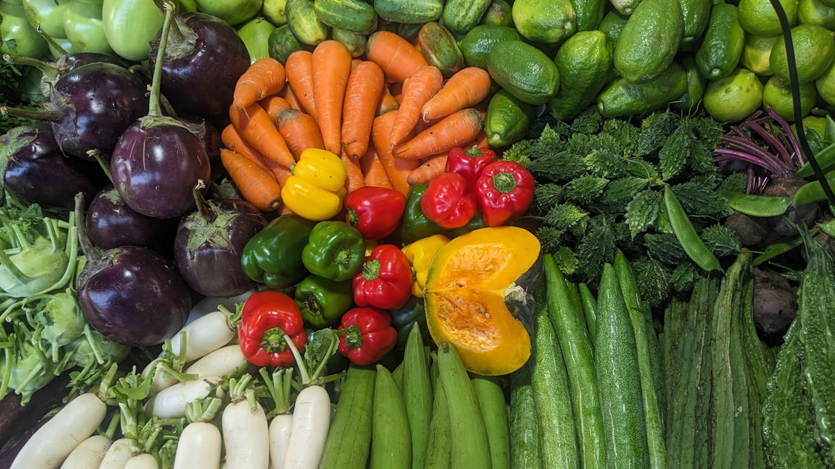 Metode Diet Seimbang - Pendekatan Holistik